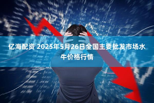 亿海配资 2025年5月26日全国主要批发市场水牛价格行情