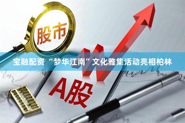宝融配资 “梦华江南”文化雅集活动亮相柏林