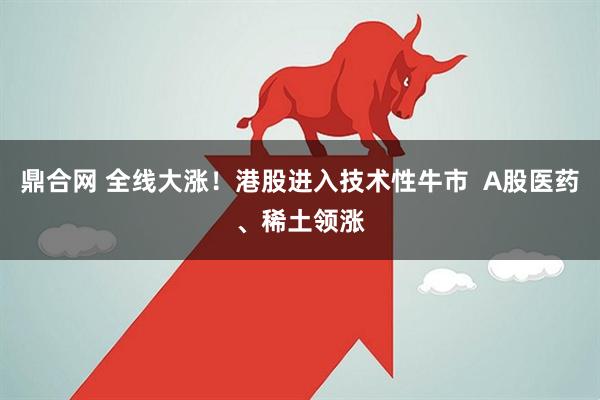 鼎合网 全线大涨！港股进入技术性牛市  A股医药、稀土领涨