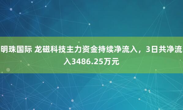 明珠国际 龙磁科技主力资金持续净流入，3日共净流入3486.25万元