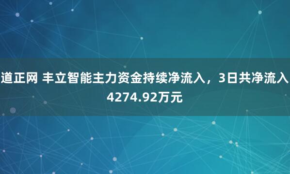道正网 丰立智能主力资金持续净流入，3日共净流入4274.92万元