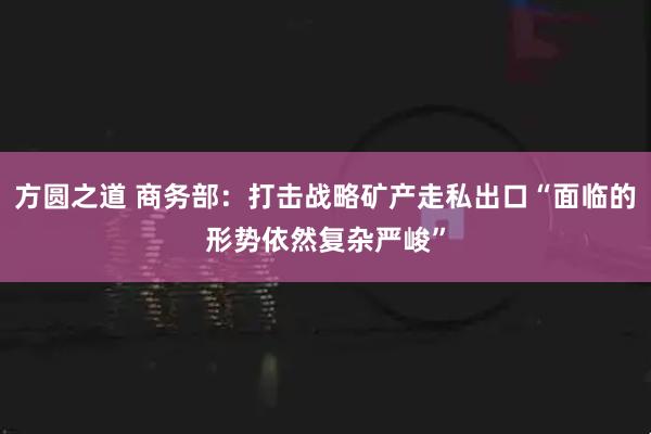 方圆之道 商务部：打击战略矿产走私出口“面临的形势依然复杂严峻”