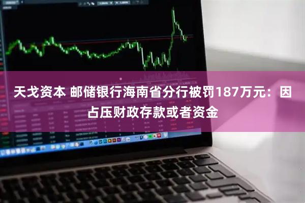 天戈资本 邮储银行海南省分行被罚187万元：因占压财政存款或者资金