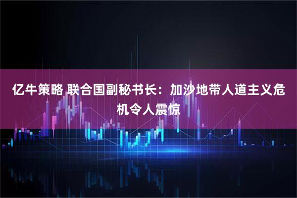 亿牛策略 联合国副秘书长：加沙地带人道主义危机令人震惊