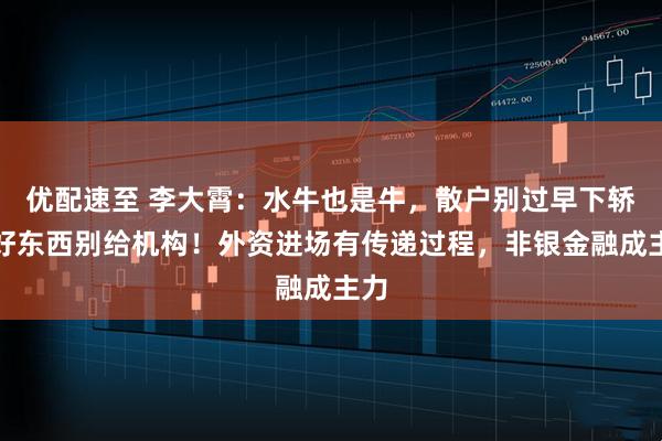 优配速至 李大霄：水牛也是牛，散户别过早下轿，好东西别给机构！外资进场有传递过程，非银金融成主力