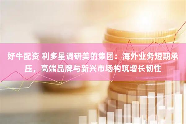 好牛配资 利多星调研美的集团：海外业务短期承压，高端品牌与新兴市场构筑增长韧性