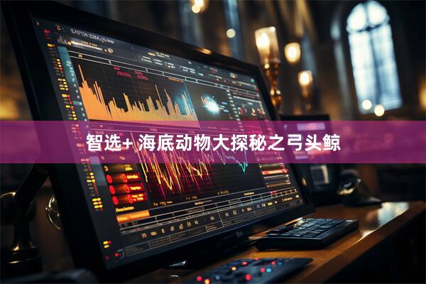智选+ 海底动物大探秘之弓头鲸
