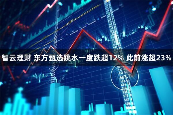 智云理财 东方甄选跳水一度跌超12% 此前涨超23%