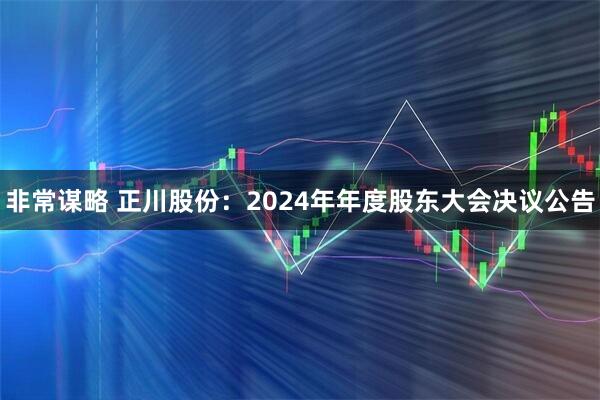 非常谋略 正川股份：2024年年度股东大会决议公告