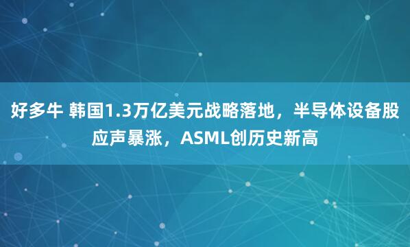 好多牛 韩国1.3万亿美元战略落地,半导体设备股应声暴涨,ASML创历史新高