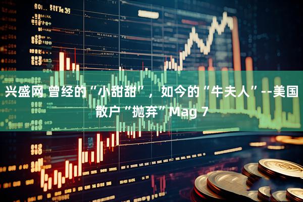 兴盛网 曾经的“小甜甜”，如今的“牛夫人”--美国散户“抛弃”Mag 7